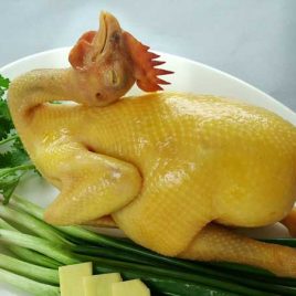 Vịt, Gà Bến Tre