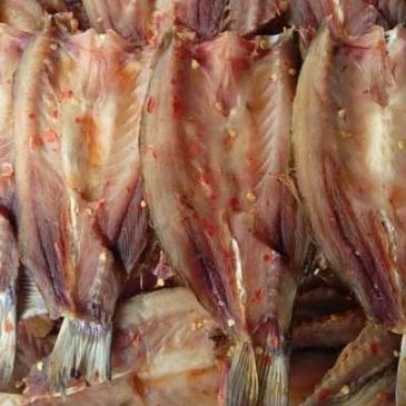 Khô cá Đối ướp gia vị