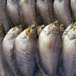 Khô cá Sặc bổi