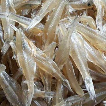 Món ngon từ Cá Cơm Khô